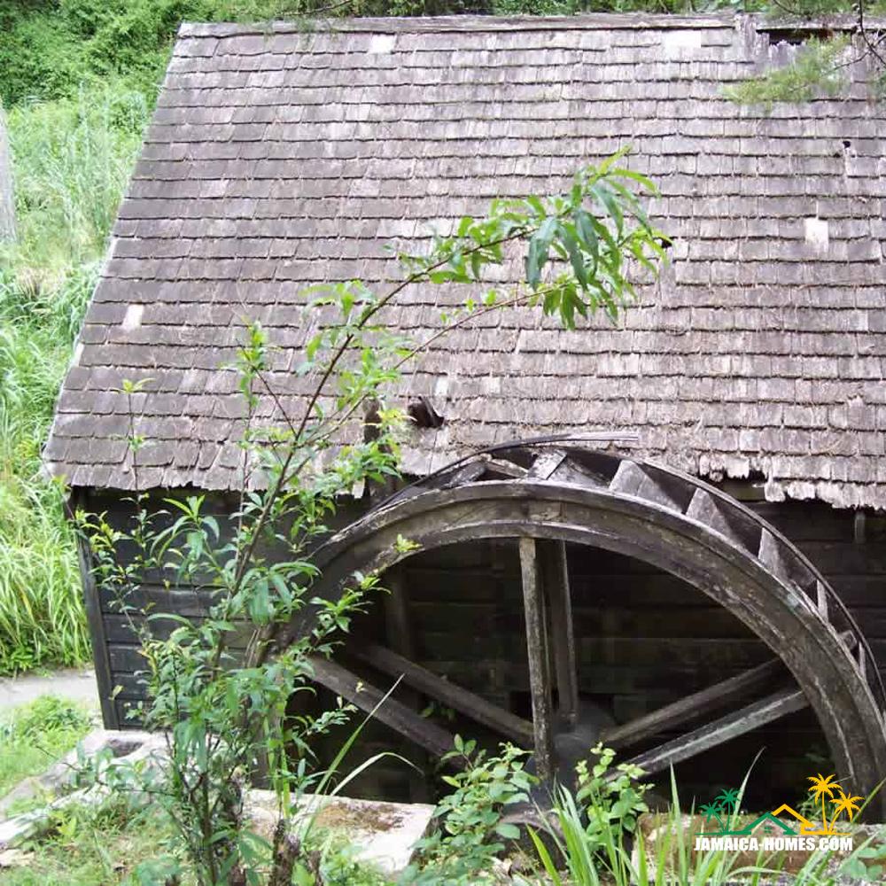 Clydesdale National Forest Park is nestled in the hills of the Blue Mountain range, making it a serene and beautiful escape from the hustle and bustle of everyday life.