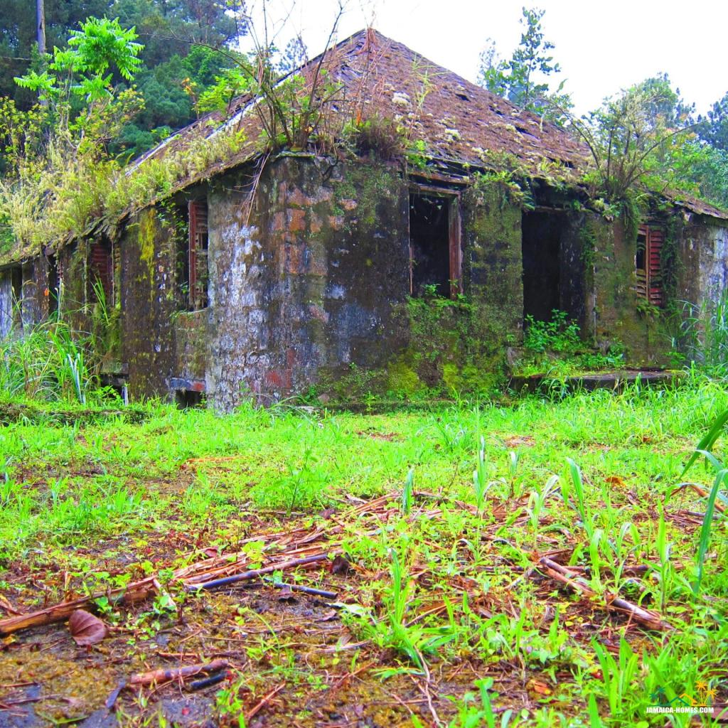 Clydesdale National Forest Park is nestled in the hills of the Blue Mountain range, making it a serene and beautiful escape from the hustle and bustle of everyday life.