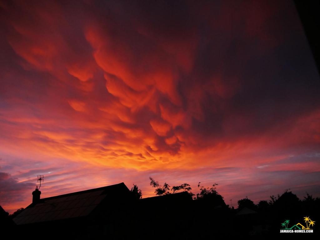 silhouette of trees and house during sunset