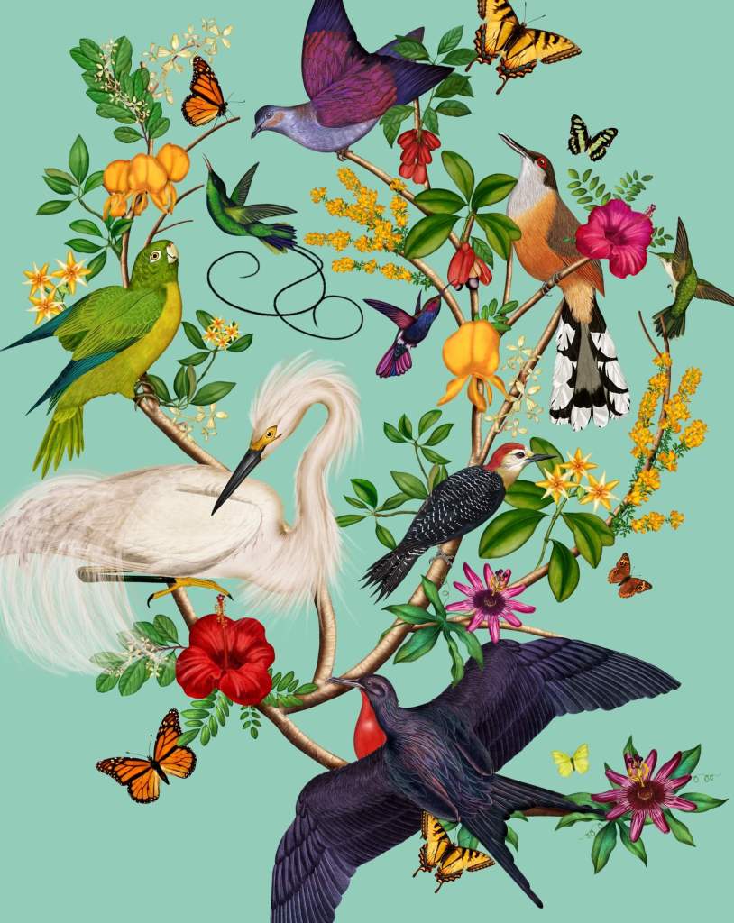 Cllr Stiofán Conaty (@Conaty_Stiofan) / Posts / X, image size:814x1024