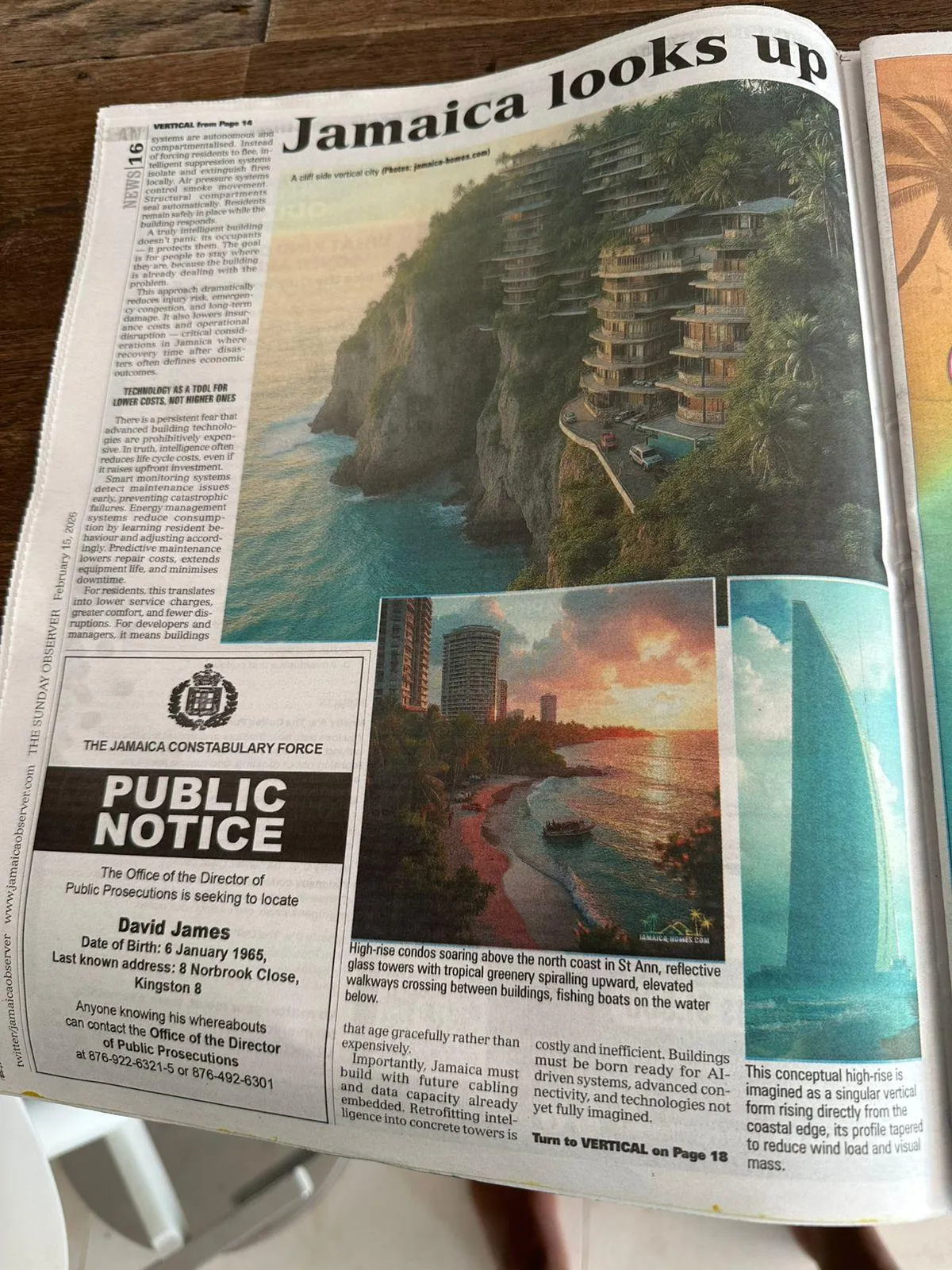 Jamaica Looks Up: Why I Wrote Vertical Living Reimagined