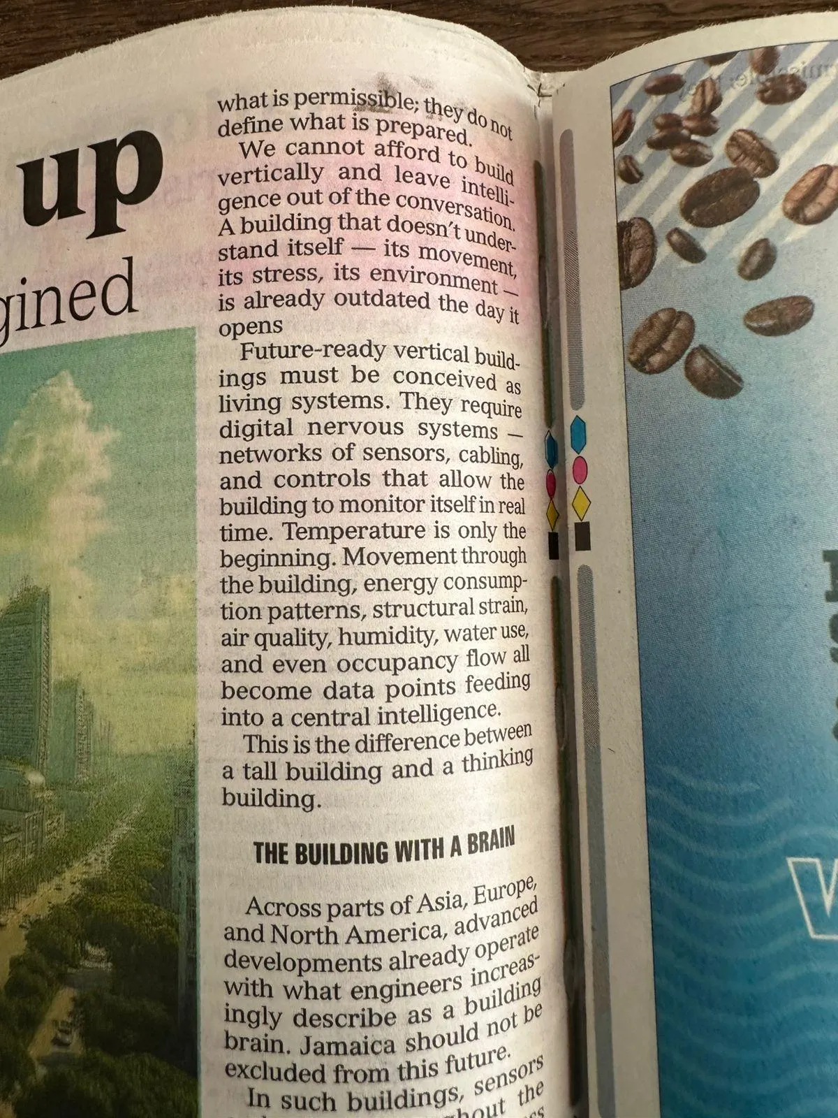 Jamaica Looks Up: Why I Wrote Vertical Living Reimagined