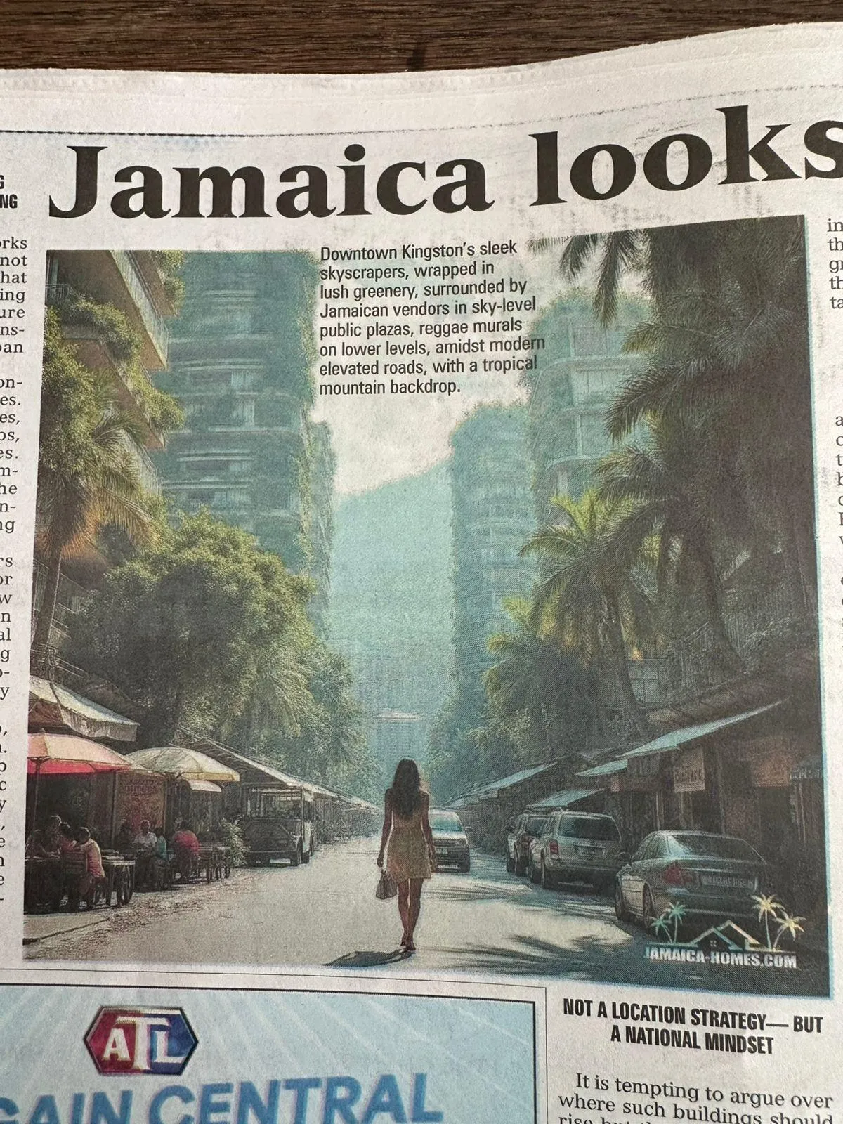 Jamaica Looks Up: Why I Wrote Vertical Living Reimagined